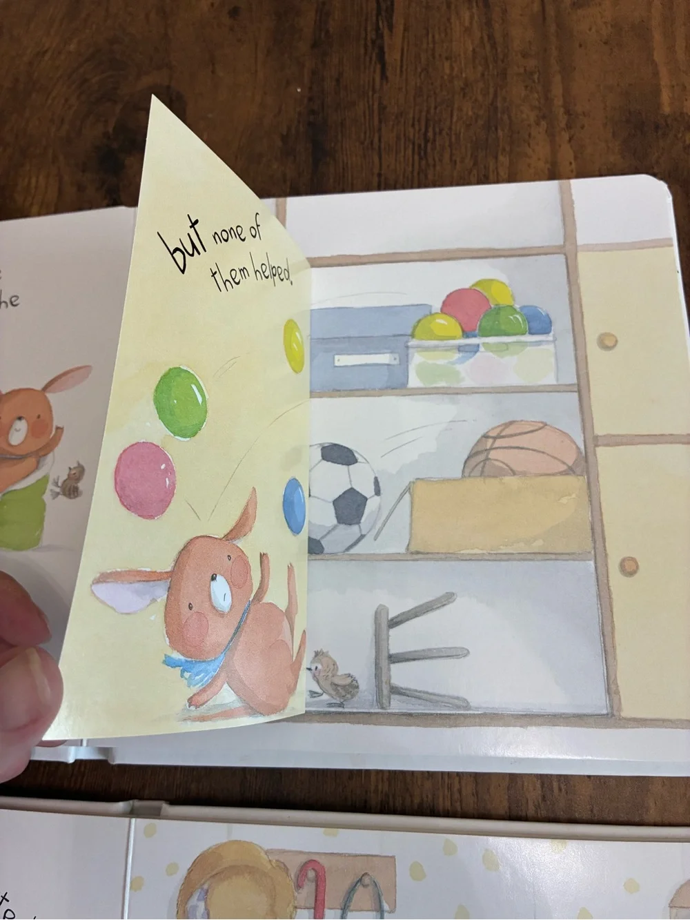 Jedda Robaard Children’s Interactive Board Books